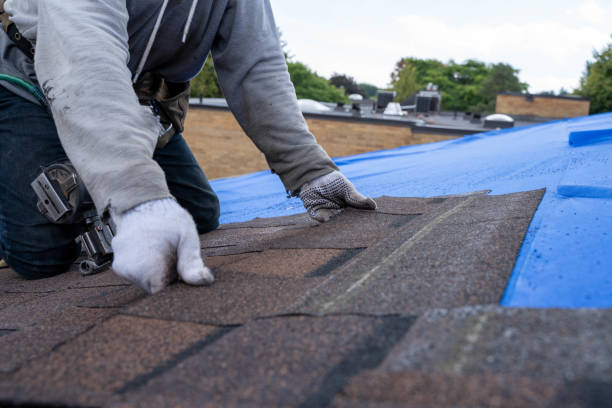 Roof Installation Near Me in Moss Point, MS