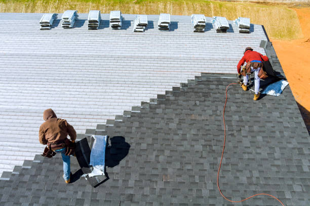 Best Roof Gutter Cleaning  in Moss Point, MS