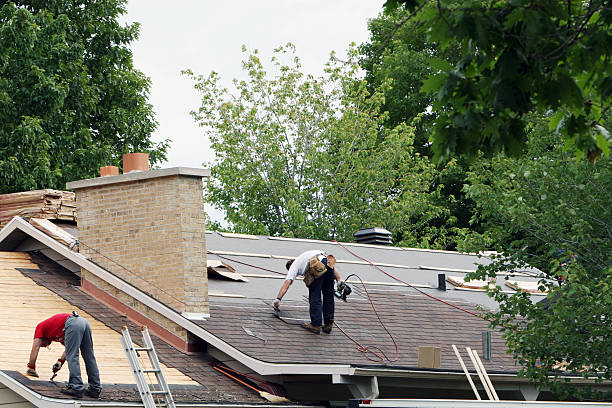 Best Roof Maintenance Services  in Moss Point, MS