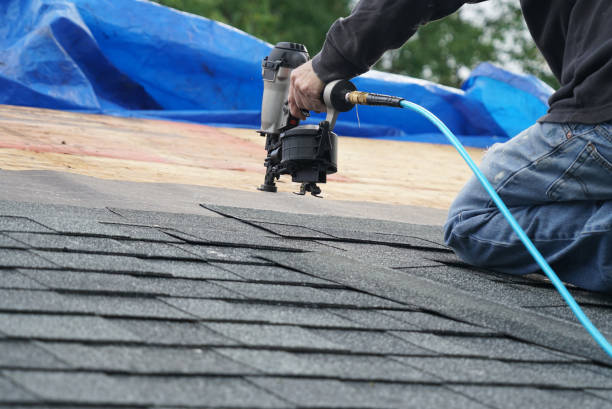 Best Roof Maintenance Services  in Moss Point, MS